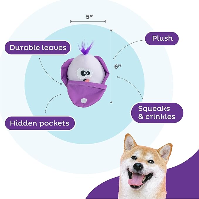 Outward Hound Nina Ottosson Hide N' Find Interactive Plush Dog Puzzle, Dog Enrichment Toys, Plush, Durable Dog Toy, Cauliflower, Purple