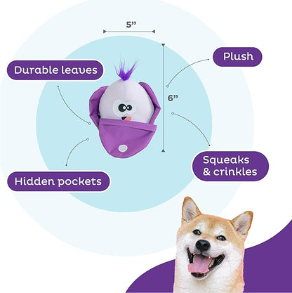 Outward Hound Nina Ottosson Hide N' Find Interactive Plush Dog Puzzle, Dog Enrichment Toys, Plush, Durable Dog Toy, Cauliflower, Purple