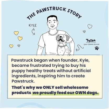 Pawstruck All-Natural 6" Bully Stick Springs for Dogs - Fun Challenging Rawhide Free 100% Beef Single Ingredient Chew Treat Bones - Fully Digestible Low Odor - 10 Pack - Packaging May Vary