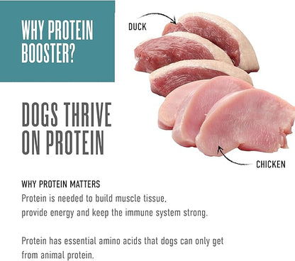 Tiki Dog Born Carnivore Protein Booster Dog Food Topper, Chicken and Duck Recipe in Broth, 2.1 oz. Pouch (12 Count)