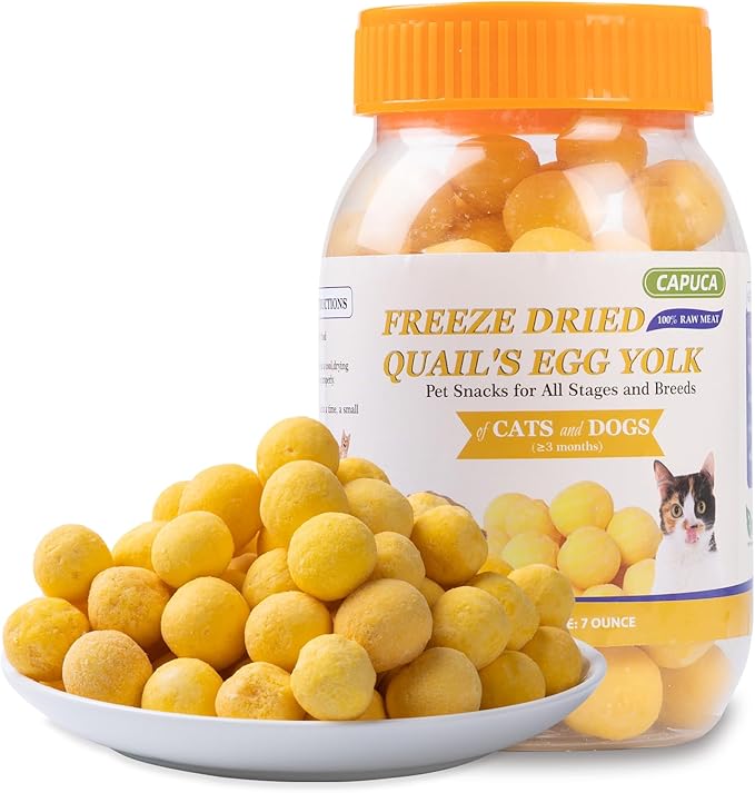 Freeze Dried Quail Egg Yolk - Cats Dogs Treats Natural Cat Delicious Snacks Training Food Healthy Tasty Easy Digestion Pet Food (7 OZ)