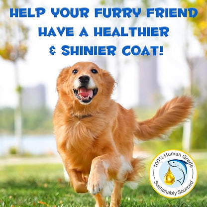 Omega 3 Fish Oil for Dogs -8.8 FL.OZ Salmon Oil for Dogs & Cats - Dog Fish Oil Supplement - Omega 3 Fish Oil for Pet Skin and Coat, Shedding, EPA + DHA, golden