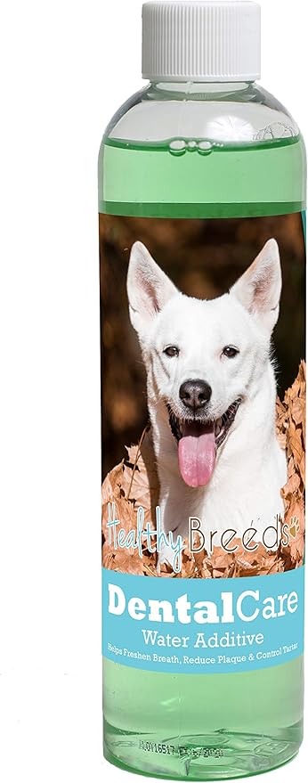 Healthy Breeds Dog Dental Care Water Additive for Canaan Dog - Helps Freshen Breath, Reduce Plaque & Control Tartar - Mint Flavor - 8 oz