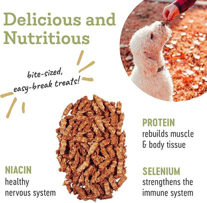 Farm Hounds Premium Bite-Sized Chicken Training Treats for Dog, 100% Made from Humanely-Raised Chickens, Dog Trainer Treats Healthy Delicious Dog Bites, Made in USA, 2-Pack