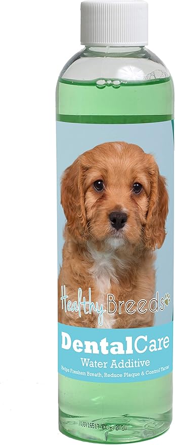 Healthy Breeds Dog Dental Care Water Additive for Cavapoo - Helps Freshen Breath, Reduce Plaque & Control Tartar - Mint Flavor - 8 oz