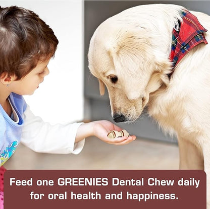 UrbanX HealthyBones Beef Rawhide Free Healthy Mini Chews for Cavalier King Charles Spaniel and Other Small Companion Dogs Great Foods for Training Rewards, 14 Count