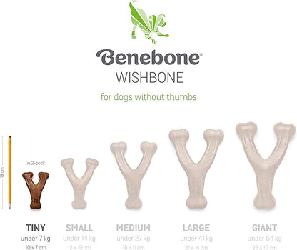 Benebone Tiny 2-Pack Dog Chew Toys, Made in USA, Real Bacon Flavor, Small
