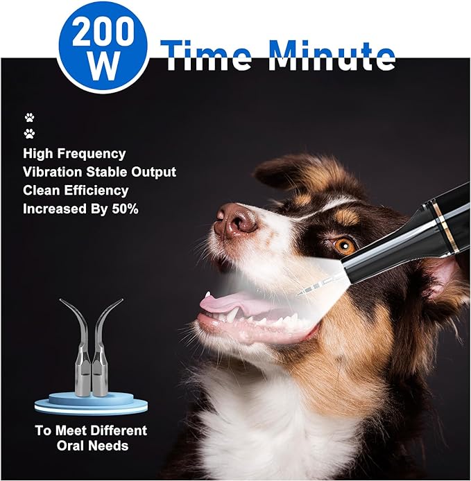 5 Modes Plaque Remover for Teeth,Dog Teeth Cleaning Kit,Dog Teeth Cleaning, Dental Tools to Remove Tartar and Stains, Safe for Dogs & Cats, with Led Light & 5 Adjustable Modes (Black)