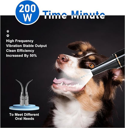 5 Modes Plaque Remover for Teeth,Dog Teeth Cleaning Kit,Dog Teeth Cleaning, Dental Tools to Remove Tartar and Stains, Safe for Dogs & Cats, with Led Light & 5 Adjustable Modes (Black)