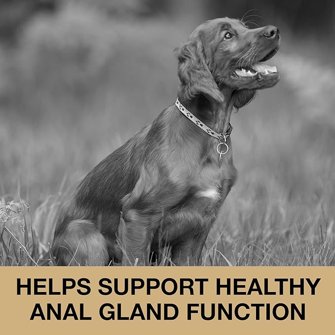 Anal Gland Support Soft Chews for Dogs - Dog Supplements with Beet Pulp, Psyllium Husk, Dandelion Root & Pumpkin - Digestive & Gut Health, Normal Bowel Function - Beef Flavor, 60 Count