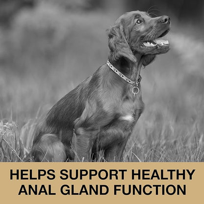 Anal Gland Support Soft Chews for Dogs - Dog Supplements with Beet Pulp, Psyllium Husk, Dandelion Root & Pumpkin - Digestive & Gut Health, Normal Bowel Function - Beef Flavor, 60 Count