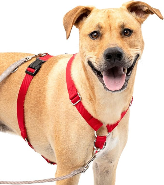 PetSafe Sure-Fit Harness – Five Point Adjustable Dog Harness – from the Makers of the Easy Walk Harness – Large, Red