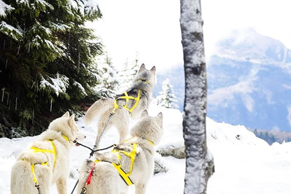 Neewa Sled Pro Harness (Medium, Yellow), Dog Pulling Harness, Husky Harness, Mushing Harness, X Back Harness Dog for Dog Exercise, Bikejoring, Skijoring, Dog Sledding, Canicross, Dog Harness