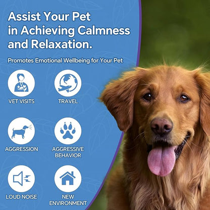 Hemp Oil for Dogs and Cats - Omega-3, 6, 9 Rich Organic Extract - Eases Pet Anxiety, Pain, Skin & Coat Health - Stress Relief, Hip & Joint Support - Calming Treats (2 Pack)