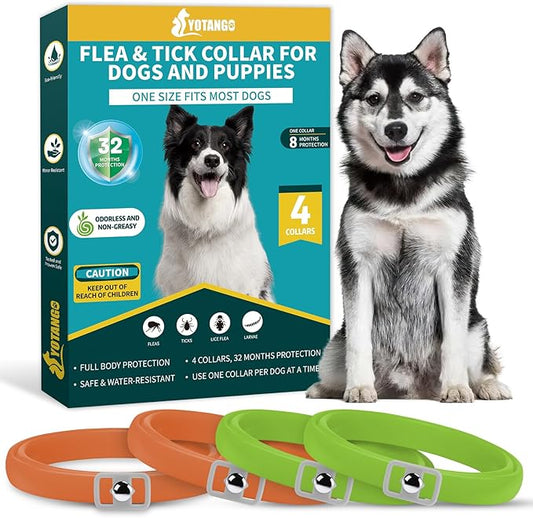 4 Pack Flea Collar for Dogs, Dog Flea and Tick Collar 8 Months Flea and Tick Treatment Prevention for Dogs, Waterproof Adjustable Dog Flea Collar Natural Tick and Flea Collar for Dogs (Oragne&Green)