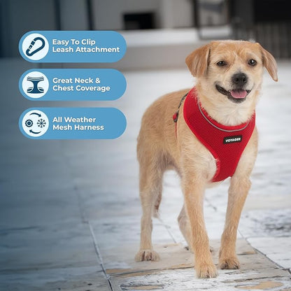 Aerolite No Pull Mesh Dog Harness with Lightweight, Soft, Breathable Chest Coverage, Reflective Stitching, and Adjustable Straps for Walking, Running, Training, Heavy Duty and Durable - Red, L