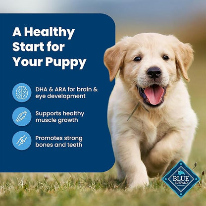 Blue Buffalo Life Protection Formula Puppy Dry Dog Food with DHA and ARA, Made with Natural Ingredients, Chicken & Brown Rice Recipe, 15-lb. Bag