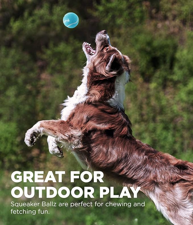 Outward Hound Squeaker Ballz Fetch Dog Toy, Large, 4 count (Pack of 1)