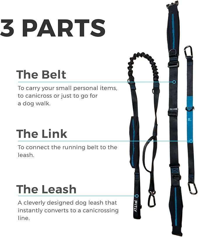 Dog Running Waist Belt - Running Dog Lead - Canicross Harness Carry Personal Items Running, Walks, Hikes - Waist Leads for Dogs with Belt Pouch, Converts into Canicrossing Line - Emerald Blue