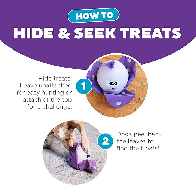 Outward Hound Nina Ottosson Hide N' Find Interactive Plush Dog Puzzle, Dog Enrichment Toys, Plush, Durable Dog Toy, Cauliflower, Purple