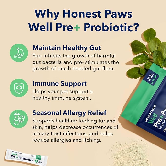 Honest Paws Probiotics for Dogs - Dog Digestion Gut Health Probiotic Powder with Prebiotic Made in The USA, Digestive and Immune Support - Digestive Enzymes with Chicken Flavor (30 Sticks)