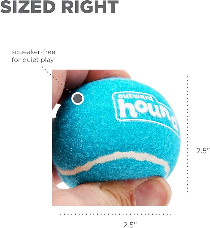 Outward Hound Tennis Ballz Fetch Dog Toy, 4-Pack