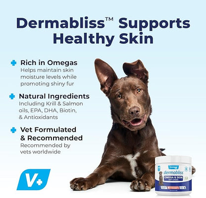 Vetnique Dermabliss Omega & Skin Health Fish Oil for Dogs Soft Chews Healthy Skin & Coat for Dogs with Biotin & DHA - Hickory Salmon Dog Treats (60ct Chews)