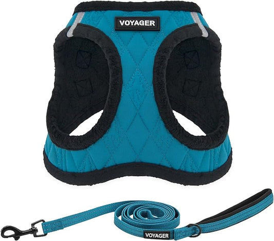 Voyager Step-in Plush Dog Harness – Soft Plush, Step in Vest Harness and Reflective Dog 5 ft Leash Combo with Neoprene Handle for Small and Medium Dogs by Best Pet Supplies -Set (Turquoise Plush), M