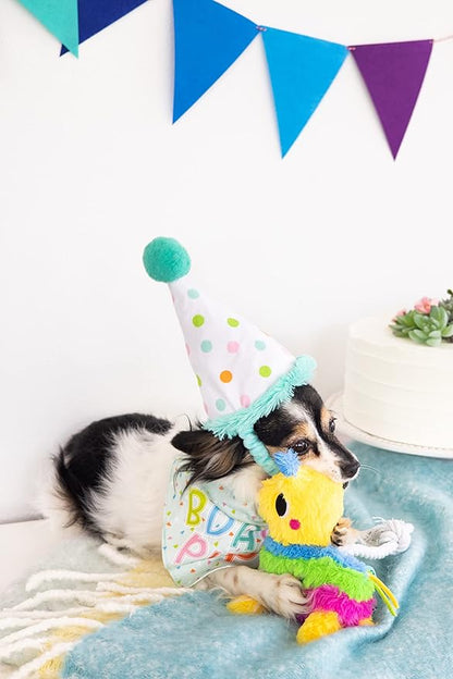 Pearhead Birthday Pup S/M Bandana Hat Set, Pet Birthday Gift, Dog Birthday Party Accessories, Party Hat and Bandana for Dogs, Pet Owner Must Have Accessories, Small/Medium