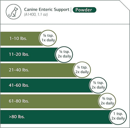 Standard Process - Canine Enteric Support - Digestive System Support for Dogs - 30 Grams