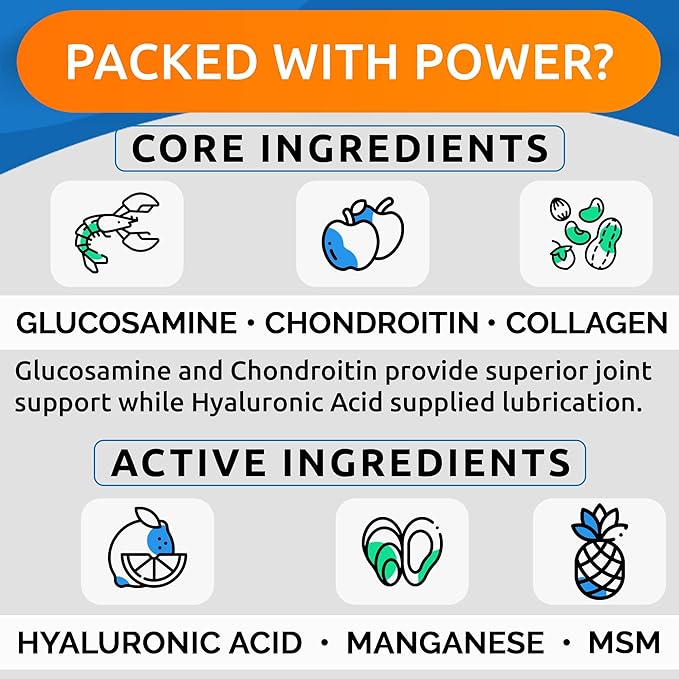 Liquid Glucosamine for Dogs - 16 Fl Oz Easy to Serve Joint Pain Relief Supplement - Advanced Formula with Chondroitin, MSM, Collagen - Hip & Joint Care - Made in USA