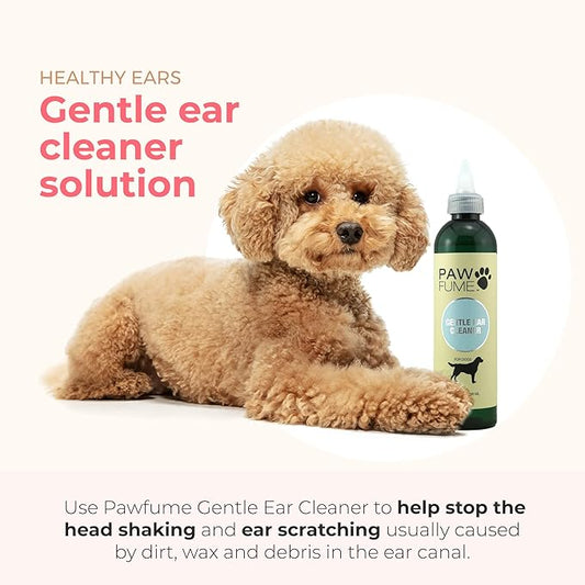 Pawfume Gentle Ear Cleaner for Dogs – Natural Dog Ear Cleaner Solution – Ear Wax Cleaner for Dogs Ear Treatment for Dogs – Dog Ear Wash Ear Cleaning Solution for Dogs – Dog Ear Wash Cleaner