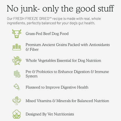 Gut Health Fresh Freeze Dried Raw Meal, Beef Recipe, 16 Ounce Bag, Dog Food for Dogs of All Breeds and Life Stages, USDA Beef, Made in USA