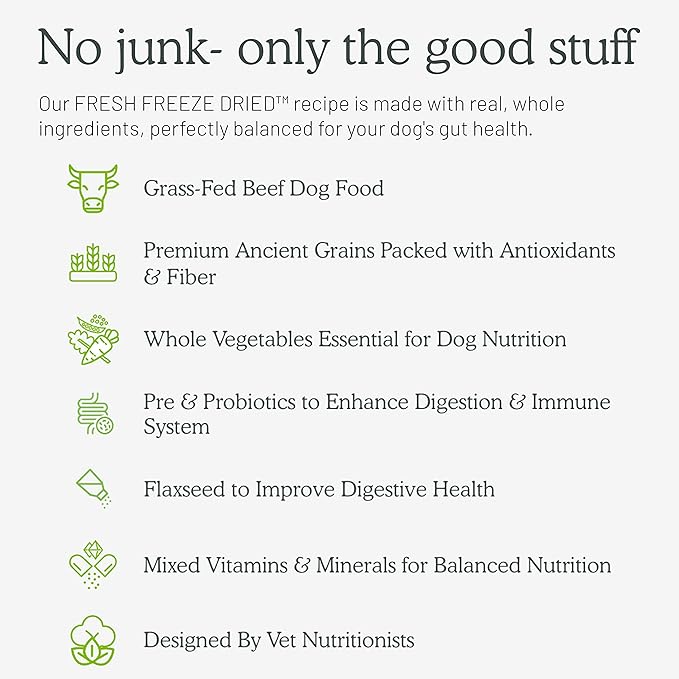 Gut Health Fresh Freeze Dried Raw Meal, Beef Recipe, 32 Ounce Bag, Dog Food for Dogs of All Breeds and Life Stages, USDA Beef, Made in USA