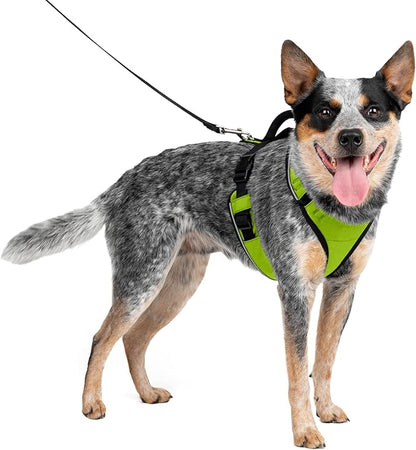PetSafe EasySport Dog Harness – Adjustable, Padded Dog Harness with Control Handle and Reflective Piping – Medium, Apple Green