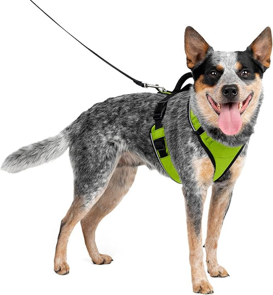 PetSafe EasySport Dog Harness – Adjustable, Padded Dog Harness with Control Handle and Reflective Piping – Medium, Apple Green