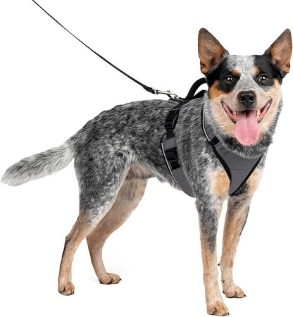 PetSafe EasySport Dog Harness - Padded, Adjustable Dog Harness with Control Handle and Reflective Piping - Great for Active Dogs - from The Makers of The Easy Walk Harness - Medium, Charcoal