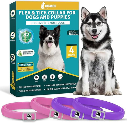 4 Pack Flea Collar for Dogs, Dog Flea and Tick Collar 8 Months Flea and Tick Treatment Prevention for Dogs, Waterproof Adjustable Dog Flea Collar Natural Tick and Flea Collar for Dogs (Pink&Purple)