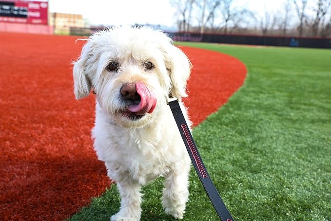 Rawlings | Baseball Stitch Leather Dog Collar | Multiple Sizes | Multiple Colors