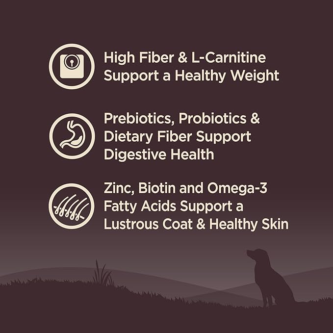 Wellness Natural Pet Food CORE Grain-Free High-Protein Small Breed Dry Dog Food, Natural Ingredients, Made in USA with Real Meat (Adult, Healthy Weight, 12-Pound Bag)