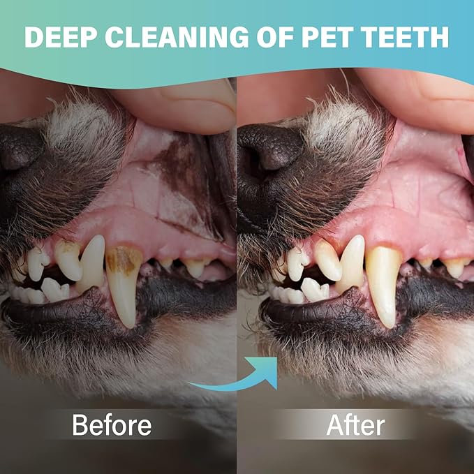 SCOBUTY 4 Pack Dog Toothbrush, 360º Dog Tooth Brushing Kit, Dual Sided Cat Toothbrushs with Micro Brush Head, Dog Teeth Cleaning, Dog Finger Toothbrush,for Small & Large Pets