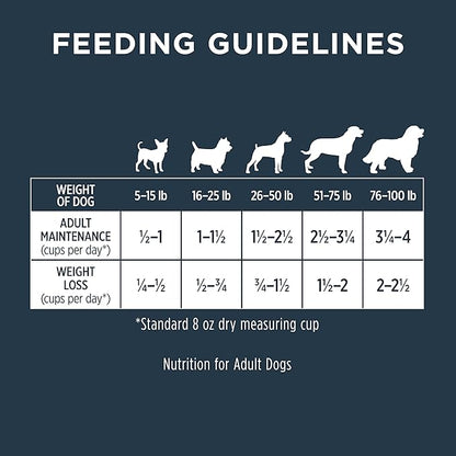 Instinct Raw Boost Gut Health Grain Free Recipe with Real Chicken Natural Dry Dog Food by Nature's Variety, 4 lb. Bag