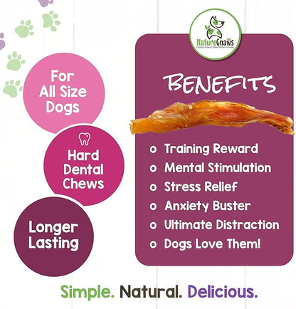 Nature Gnaws Tendons for Dogs - Premium Natural Beef Dental Sticks - Single Ingredient - Long Lasting Tasty Dog Chew Treats - Rawhide Free 4-5 Inch