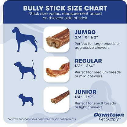 Downtown Pet Supply USA Sourced Thin Junior Bully Sticks (12" - 1 LB) - Bully Sticks for Small Dogs and Puppies- Single Ingredient Long Lasting Dog Dental Treats