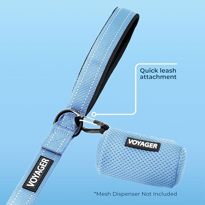 Voyager Reflective Dog Leash with Neoprene Handle, 5ft Long, Supports Small, Medium, and Large Breed Puppies, Cute and Heavy Duty for Walking, Running, and Training - Baby Blue (Leash), S