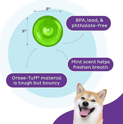 Outward Hound Snoop Interactive Treat Dispensing Dog Toy, Large, Green