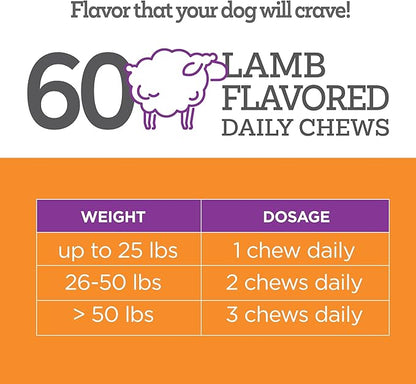 Well Chews | Soft Chew Supplements for Dogs | 60 Count | Made in USA (Skin + Coat)