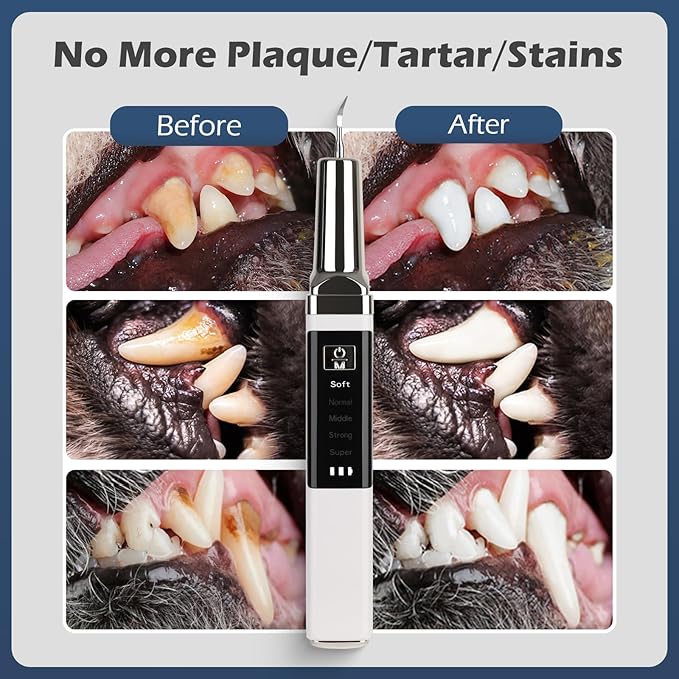 Plaque Remover for Teeth,Updated Dog Teeth Cleaning kit,Tartar Remover for Dog Tooth,5 Modes Ultrasonic Dental Tool Cleaner & Scraper for Pet Tooth with Led Light-White