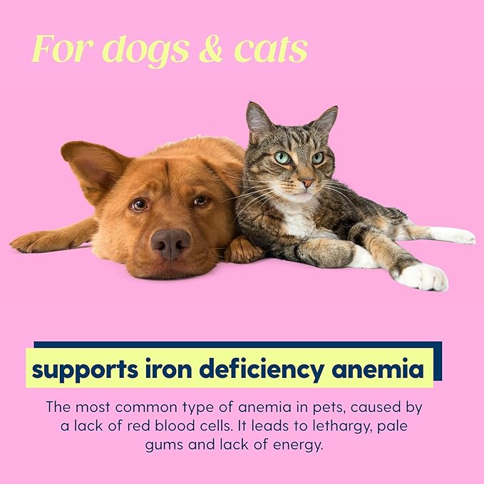 AminoPets Liquid Iron Supplements for Dogs, Cats | Supports Anemia, Low Enery Levels and Lethargy | For Dogs, Puppies, Cats, and Kittens - Made in USA
