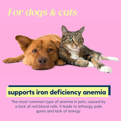 AminoPets Liquid Iron Supplements for Dogs, Cats | Supports Anemia, Low Enery Levels and Lethargy | For Dogs, Puppies, Cats, and Kittens - Made in USA